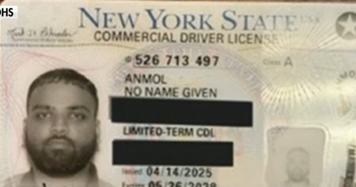 (VIDEO) ICE Director Todd Lyons Discusses Illegal Alien who was Found in Oklahoma with New York Commercial Drivers License that Read “No Name Given”