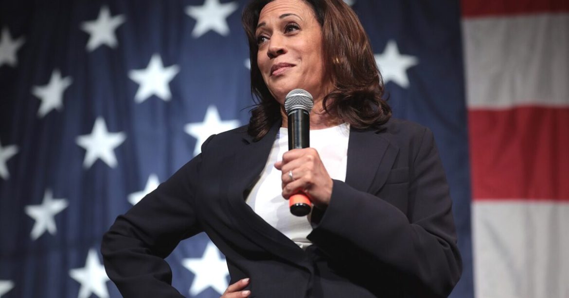 White House Responds After Kamala Harris Teases She May Run Again for President in 2028 (VIDEO) White House Responds After Kamala Harris Teases She May Run Again for President in 2028 (VIDEO)