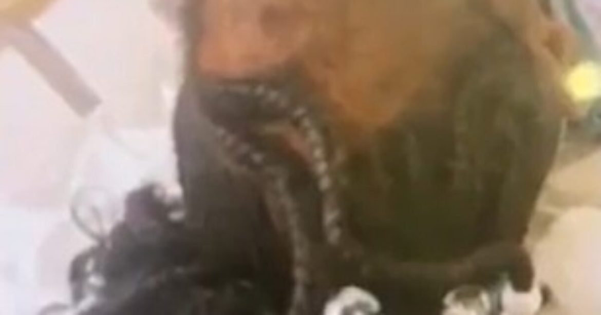 HORROR: 9-year-old Boy and 10-year-old Girl R*pe and Scalp Innocent Child in an Incredibly Terrifying Attack – Pair Charged with Several Felonies, Including Attempted Murder