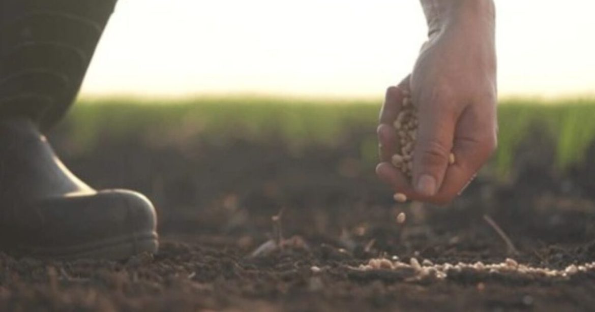 Trump Promises to Allocate Tariff Revenues to Bail Out U.S. Farmers