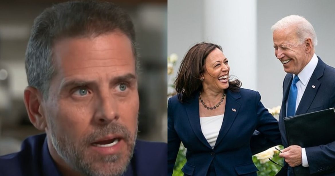 DEI Government: Hunter Biden Admits His Dad Picked Kamala as VP Because She is Black DEI Government: Hunter Biden Admits His Dad Picked Kamala as VP Because She is Black