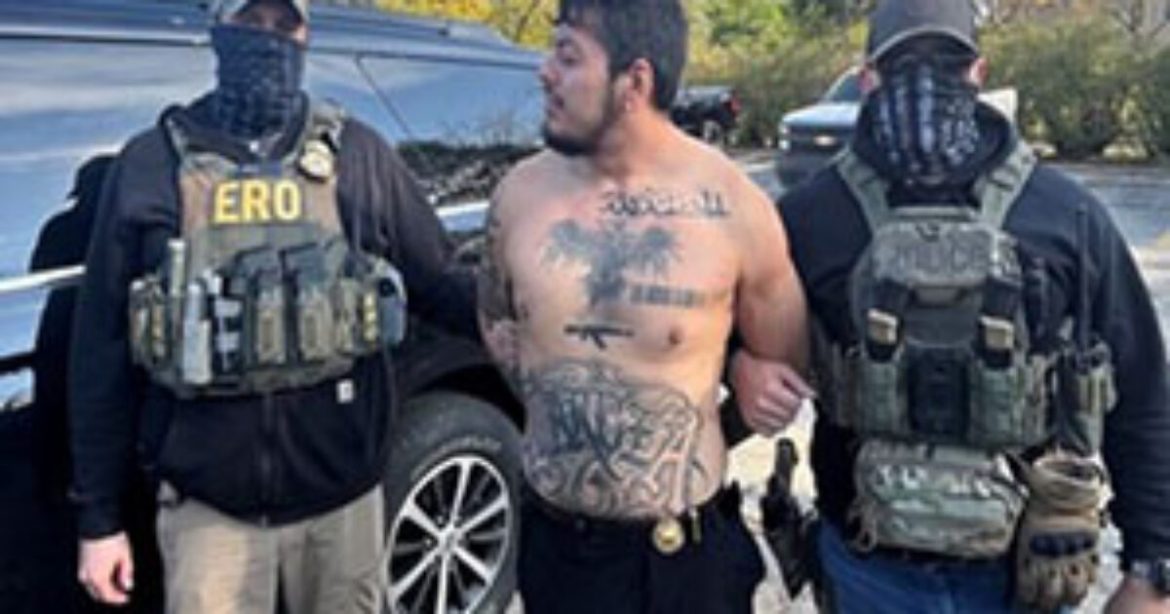 ICE ARRESTS Violent Illegal Alien After HIGH-SPEED Chase and Balcony Standoff in Chicago