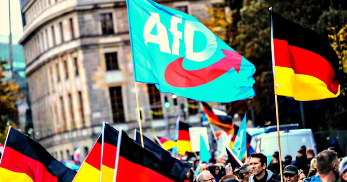 US Peace Plan Bears Striking Resemblance to German AfD Proposal — and Nobody in the Media Wants to Talk About It
