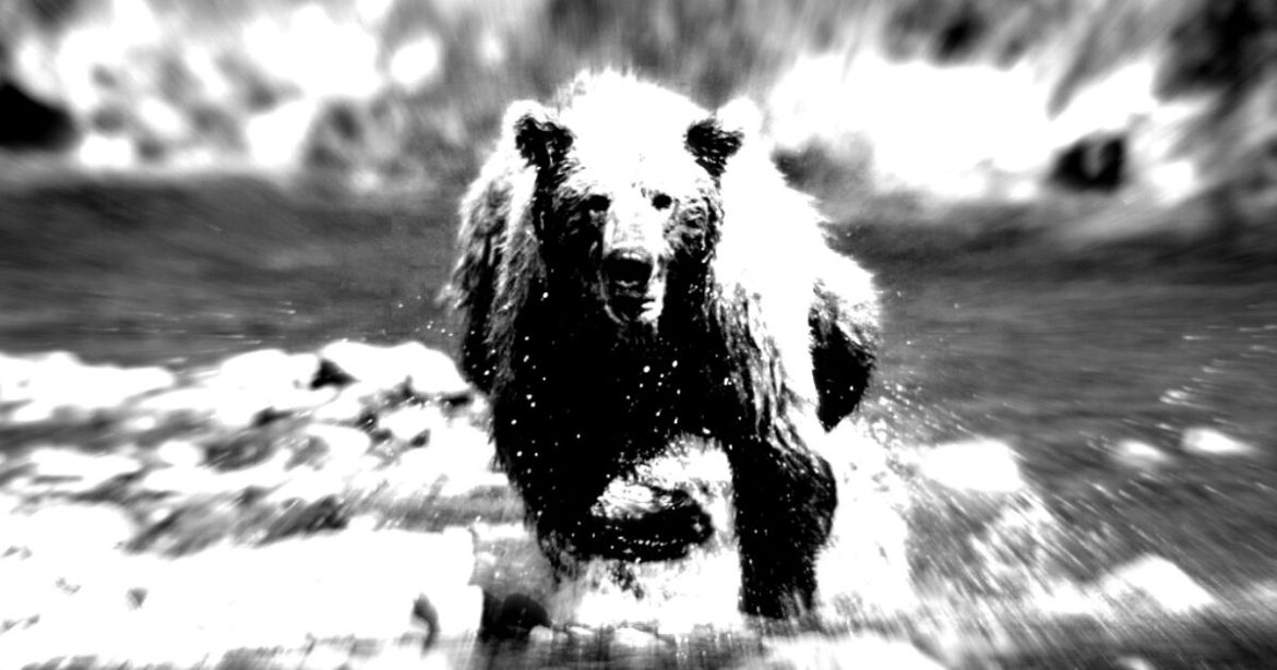 Japanese Riot Police Authorized To Use Rifles To Cull Out-of-Control Bear Populations After Record Number of Attacks on Humans