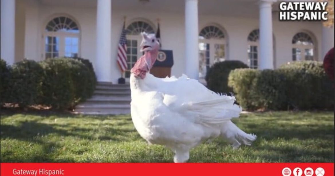 The U.S. Tradition of the Presidential Turkey Pardon: A Historic Ritual That Marks the Start of Thanksgiving