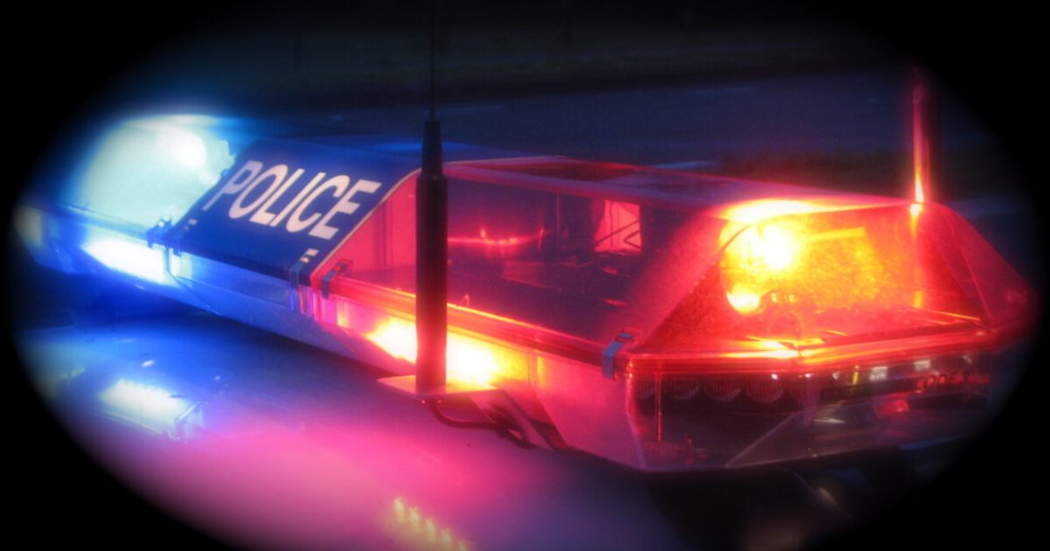 9-Year-Old Girl Killed at Crosswalk by Illegal in Boise