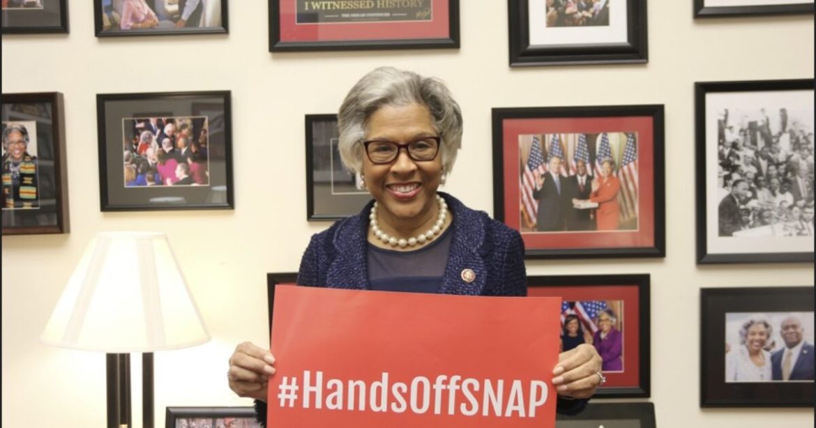 Democrats Sue Over Cut to SNAP Benefits for Non-Citizens and Illegals