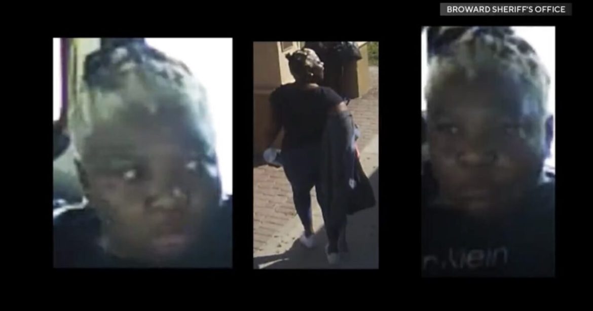 INSANE VIDEO: 70 Year Old Woman Violently Attacked, Beaten on Broward County Transit Bus in Florida – Suspect at Large