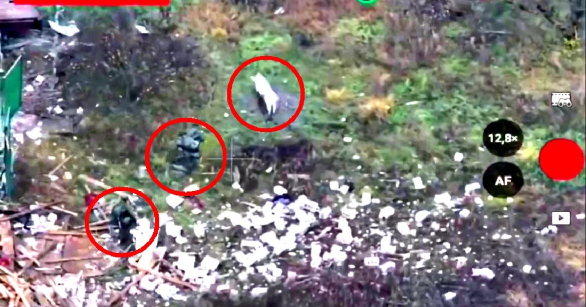 BIZARRE VIDEO: Pig Saves Lives of Two Advancing Russian Soldiers by Stepping on a Landmine