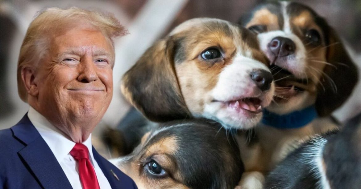 Trump Administration Continues Historic Efforts to Save Lab Animals