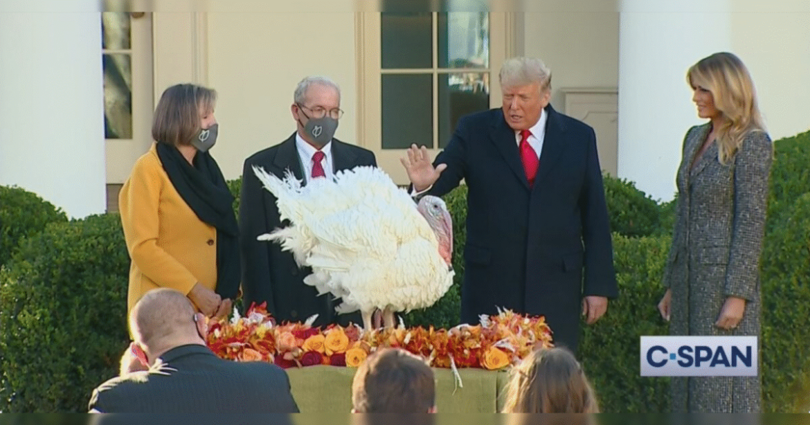 WATCH LIVE: President Trump to Save Gobble and Waddle in Thanksgiving Turkey Pardon – 12 PM ET