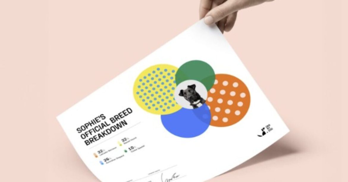 This Simple DNA Test Can Reveal Your Pup’s Ancestry and Health Risks