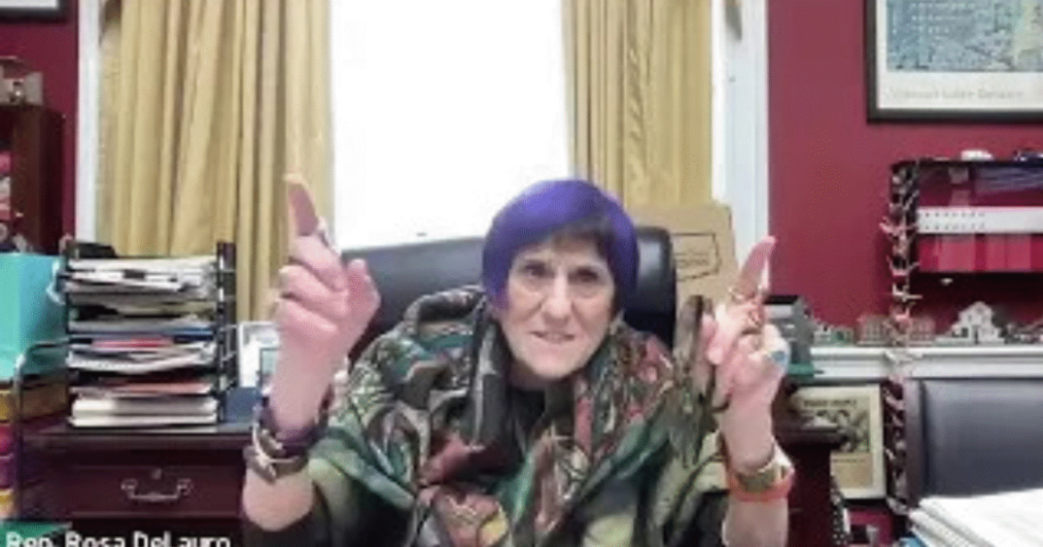 PURPLE-HAIRED Rep. DeLauro Uses Taxpayer-Funded Town Hall to Launch Wild RANT Blaming Everyone but Herself (VIDEO)