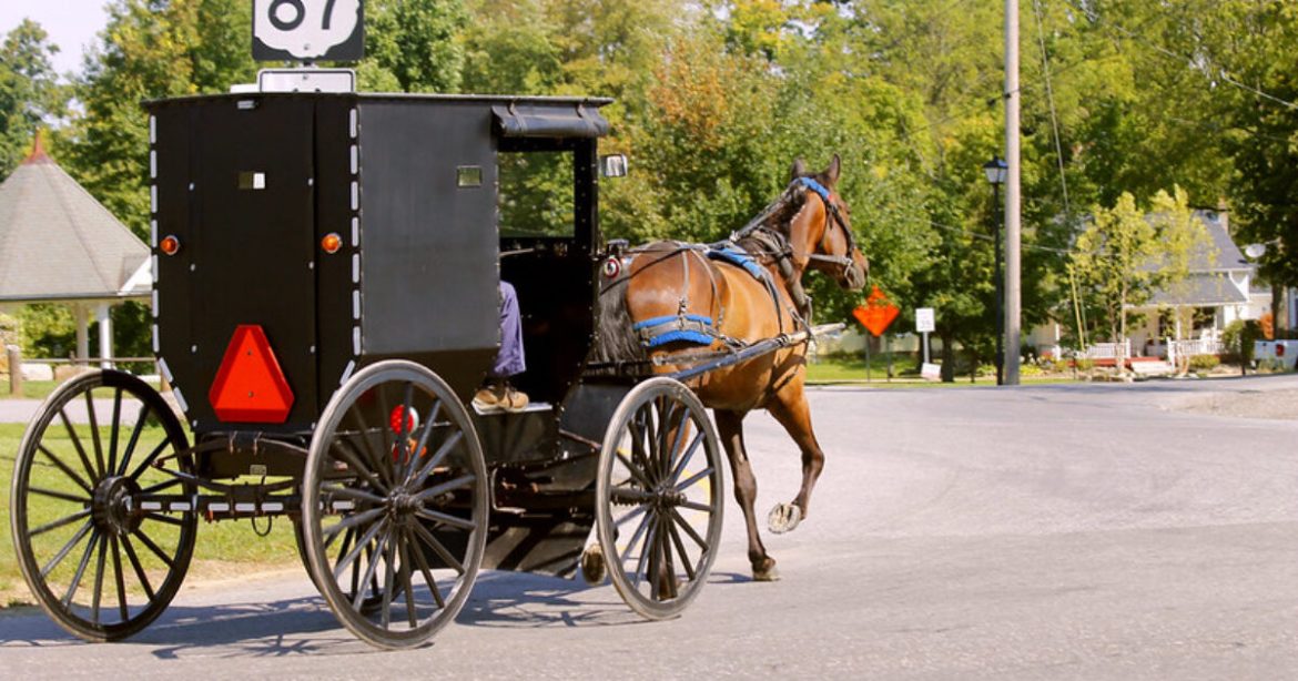 U.S. Supreme Court Smacks Down Lower Court in Major Win for Amish Families Fighting New York’s Draconian School Vaccine Mandates