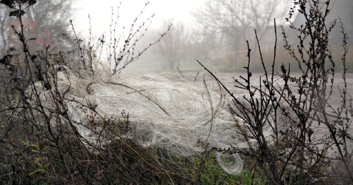 Fiber Optic Drones That Can’t Be Jammed Are Leaving Webs of Wires Everywhere in Ukraine’s Battlefields