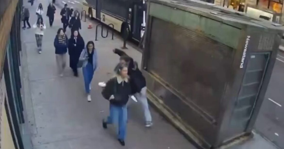 Homeless Career Criminal with History of Assaulting Women Arrested for Slapping NYU Student, Pulling Her Hair (VIDEO)