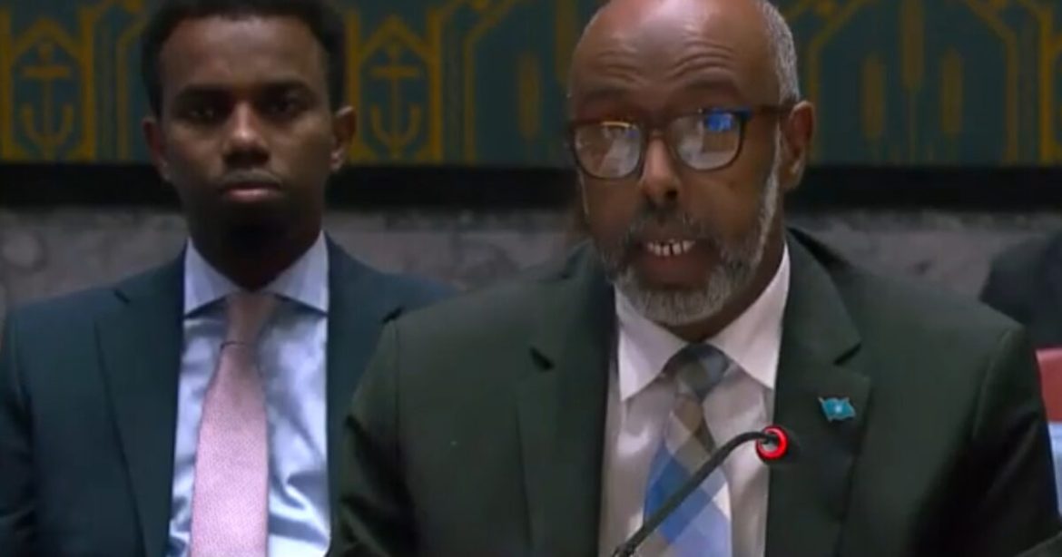 WTF? Failed State Somalia to Assume Presidency of U.N. Security Council in January