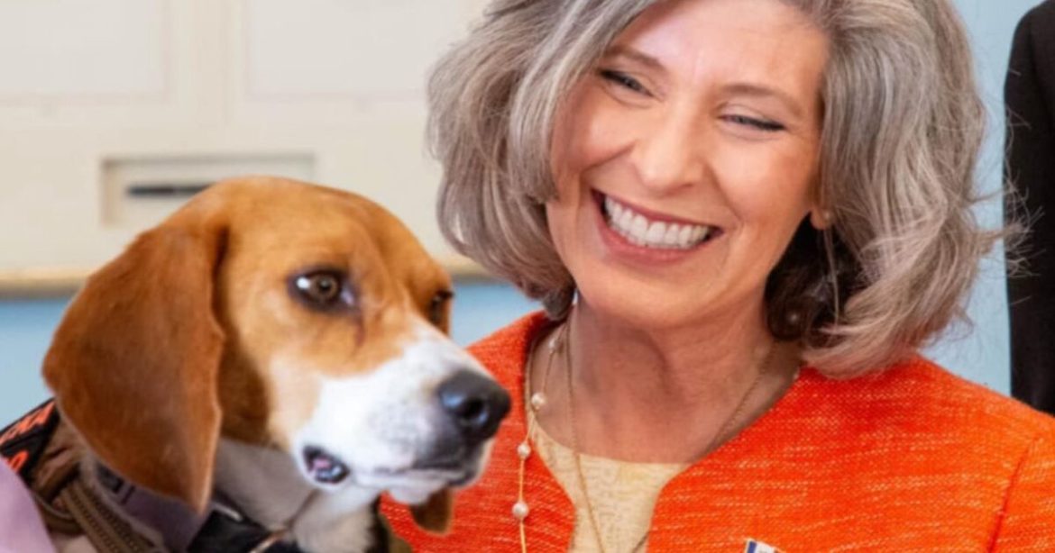 White Coat Waste Project Partners with Republican Lawmakers to Push Trump Admin to Defund NSF’s Cruel Animal Experiments