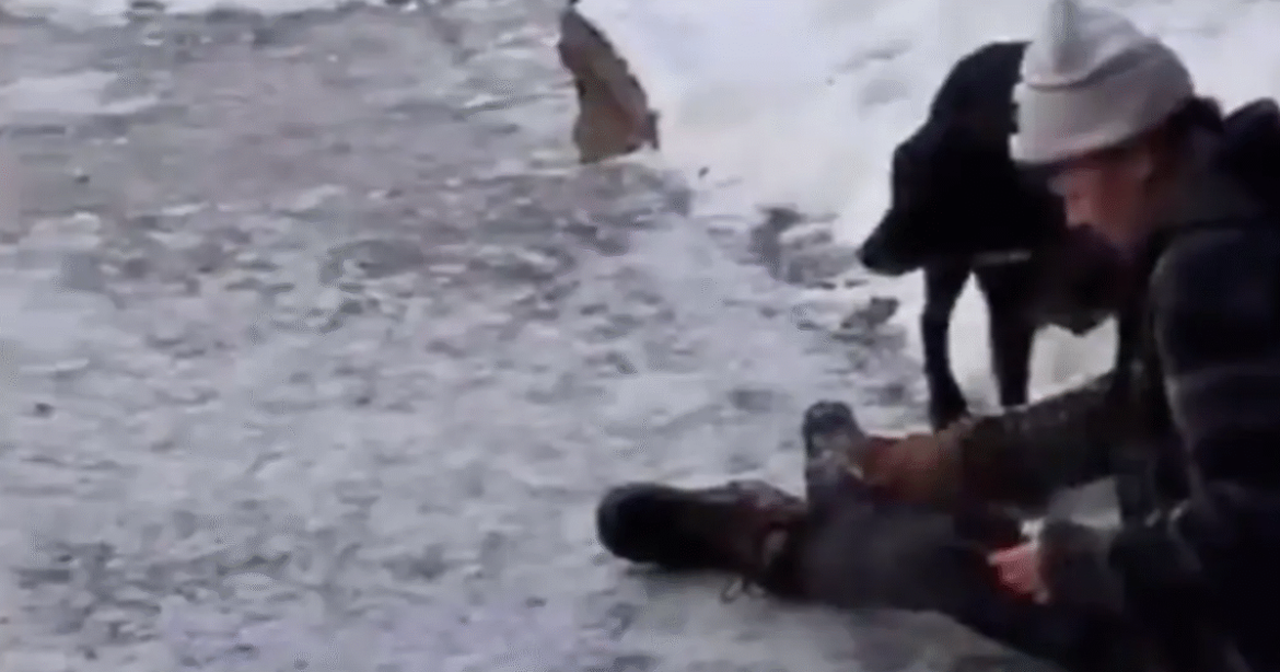 Blood-Soaked Wife of Woman Shot by ICE Agent Cries ‘I Made Her Come Down Here, It’s My Fault’ in Video from the Scene