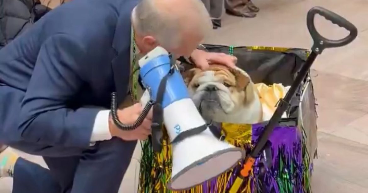 “Doggi Gras Pawrade” – Senators Under Fire For Holding ‘Dog Parade’ as SAVE Act Stalls (VIDEO)