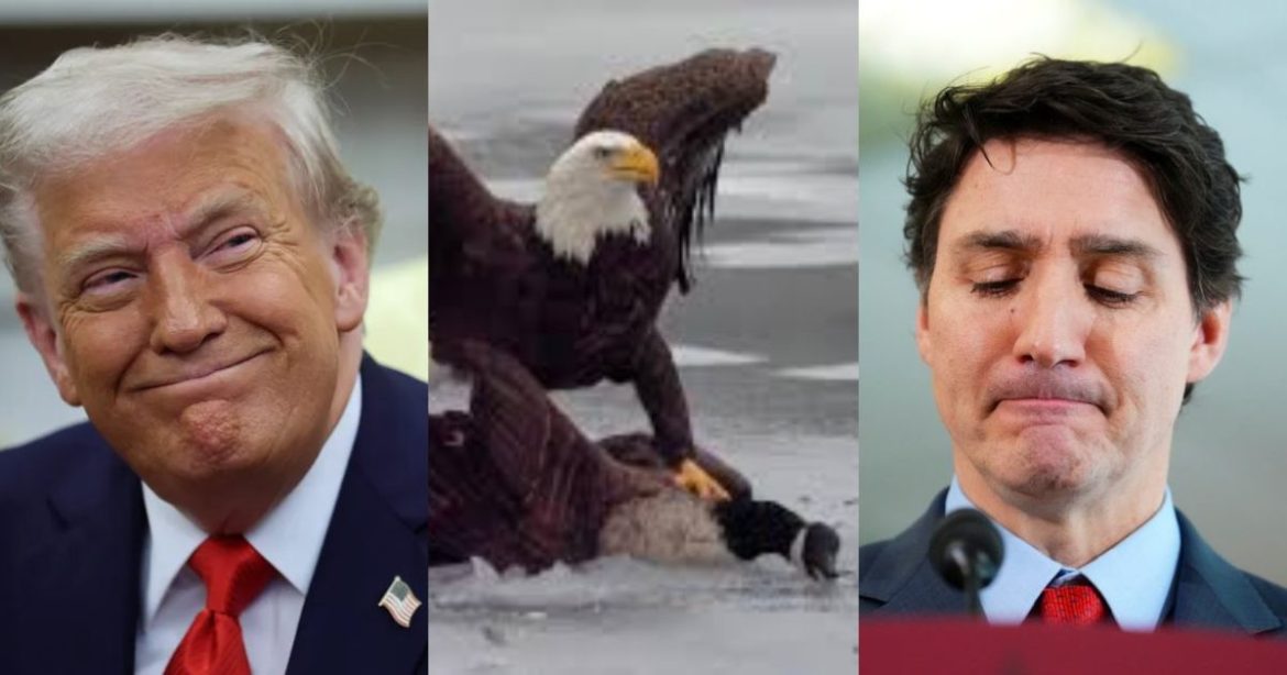White House Drops Epic Eagle Meme on Trudeau After USA Crushes Canada in Olympic Hockey