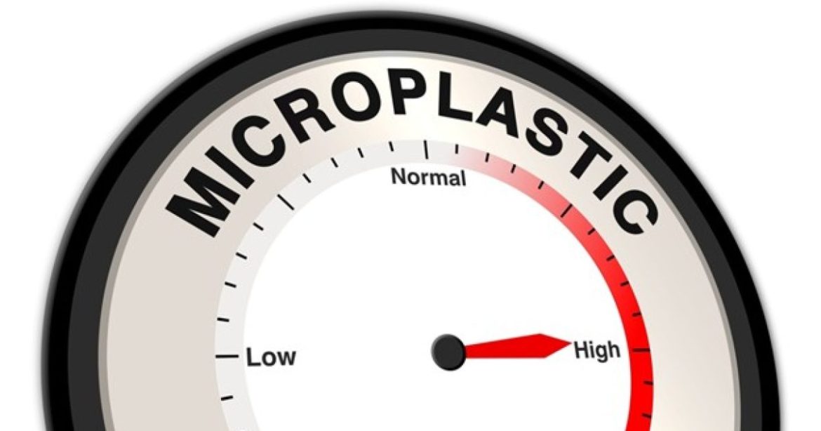 McCullough Foundation On The Dangers Of Microplastics – And How To Get Them Out Of Your System