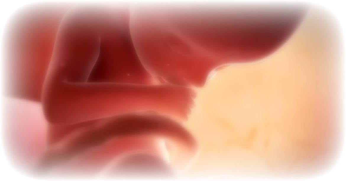 DARK DAY: British House of Lords Approves UP TO BIRTH Abortions To Become Law, as the Culture of Death Takes Over the UK