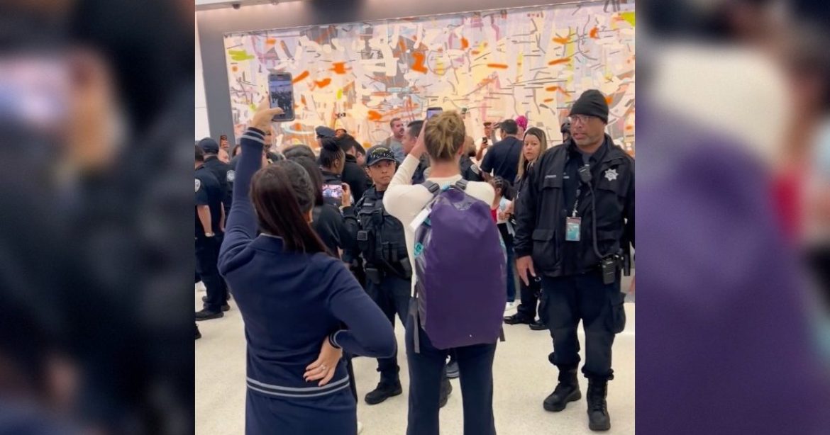 ICE Detains Illegal Alien in San Francisco Airport as Leftist Mob Melts Down (VIDEO)