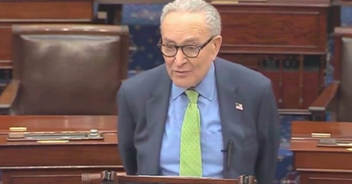 HERE IT IS: Schumer Slips, Admits Illegal Aliens Vote in US Elections (VIDEO)
