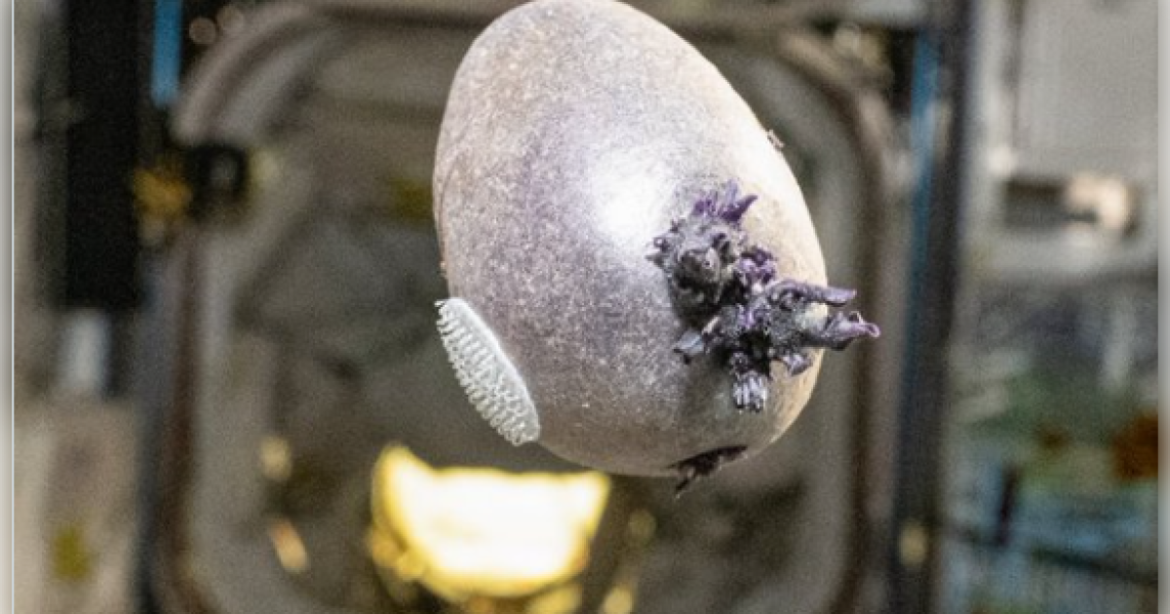 NASA Astronaut Responds to Online Panic Over “Tentacled” Object on ISS