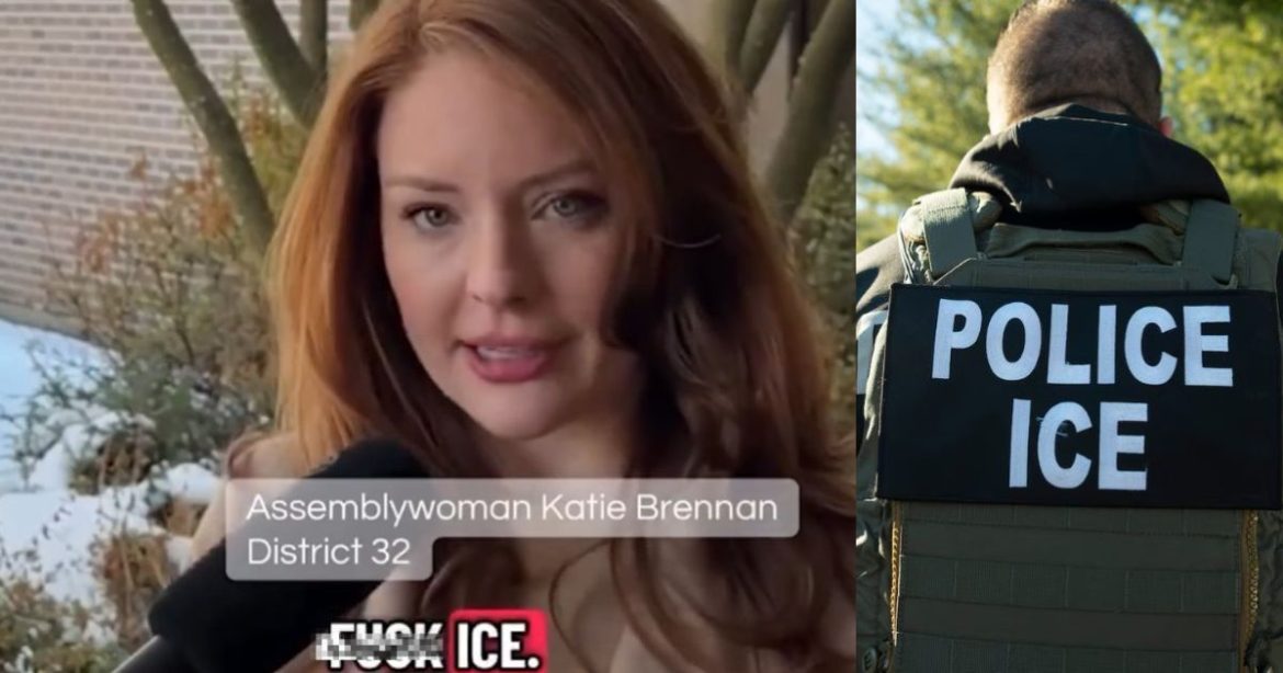 New Jersey Democrat Assemblywoman Sponsors Vulgar ‘F**K ICE’ Bill to Sue Federal Immigration Agents (VIDEO)