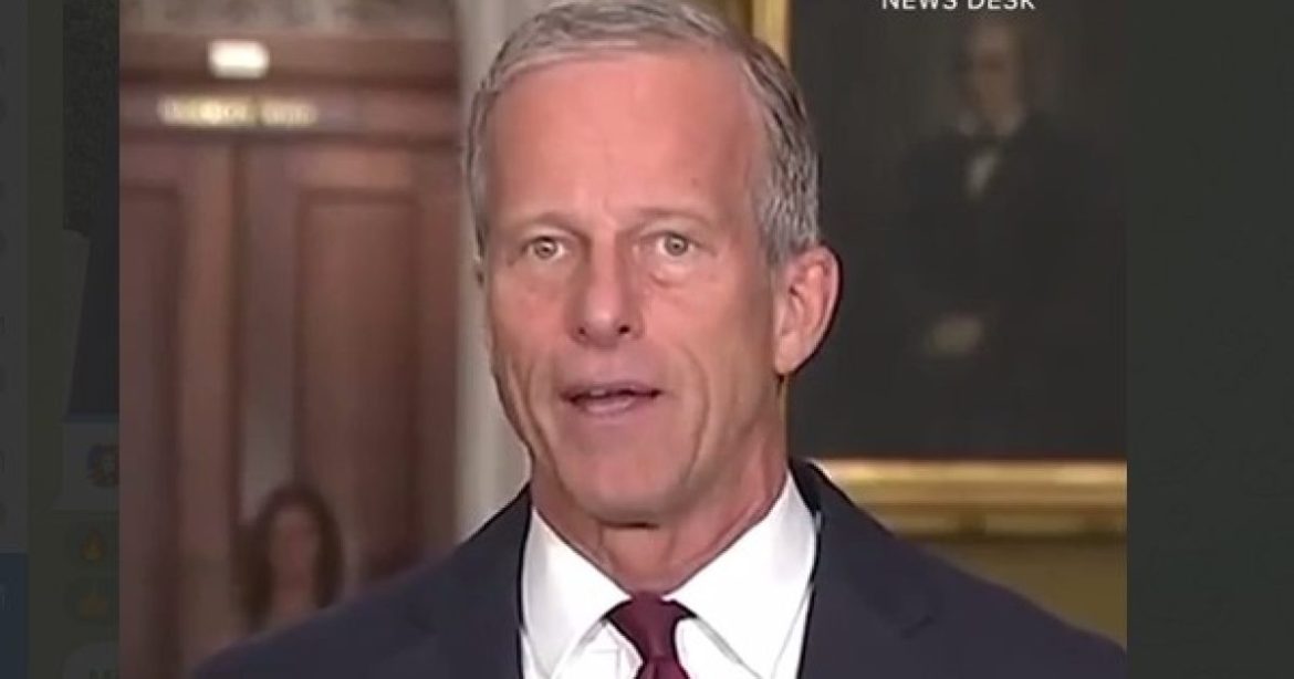John Thune Is Working Overtime to See that Trump Loses Midterms and that SAVE Act Is NEVER Passed Despite 84% Approval from American Public!